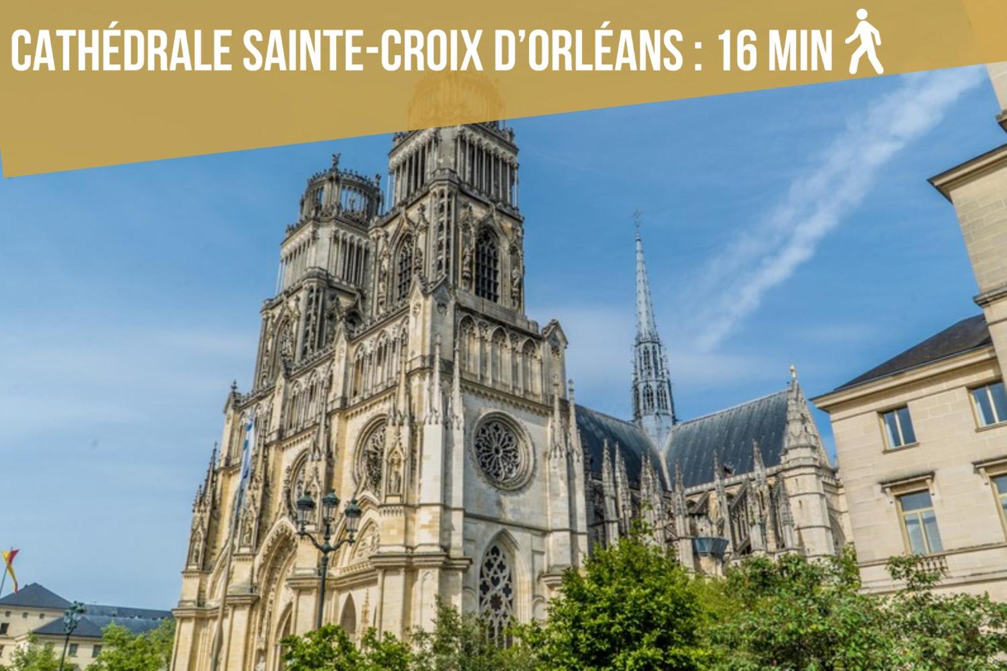 LE ST PATERNE, Hyper Centre, 3 chambres tt confort Orléans Eksteriør billede